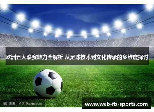 欧洲五大联赛魅力全解析 从足球技术到文化传承的多维度探讨