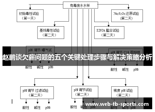 赵鹏谈欠薪问题的五个关键处理步骤与解决策略分析